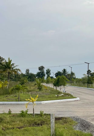 services-image2-3